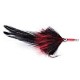Silver King Wings Black Red