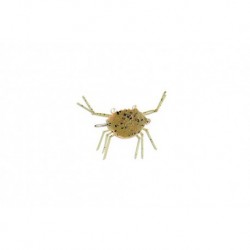 Simons Suspend Crab Tan