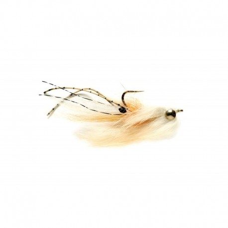 Skittal Mantis Shrmp