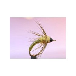 Bh Olive Trout Candy