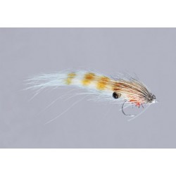 Sommerlattes Tan Migrating Shrimp