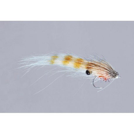 Sommerlattes Tan Migrating Shrimp