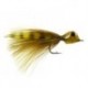 Splayed Shrimp Olive