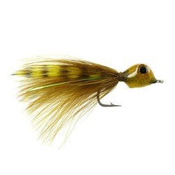 Splayed Shrimp Olive