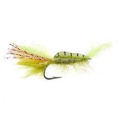 Standing Shrimp Chart