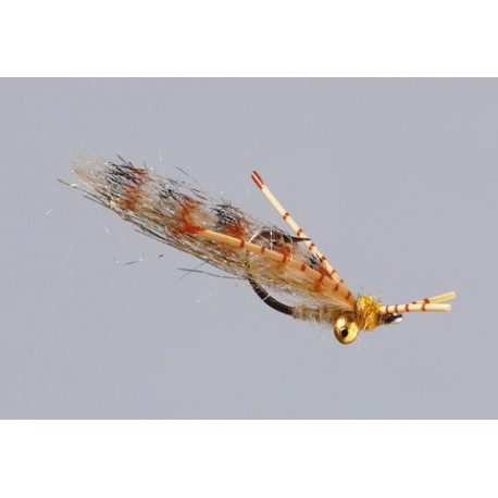 Tan Brown Tailers Beware