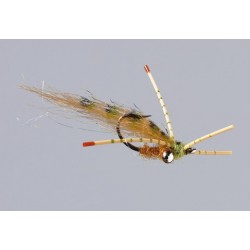 Tan Olive Tailers Beware