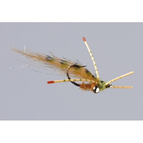 Tan Olive Tailers Beware