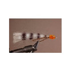 Tan Orange Bone Food