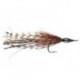 Tarpon Cockroach