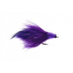 Tarpon Toad Purple