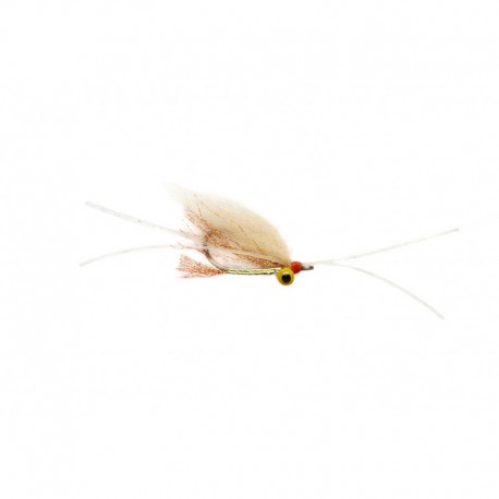 Xmas Island Special Light Shrimp