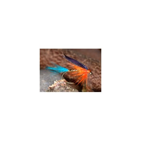 Butcher Kingfisher