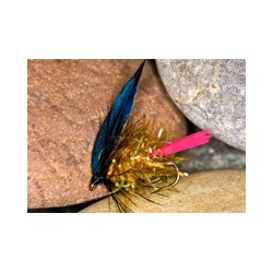 Glitter Bodgold Butch