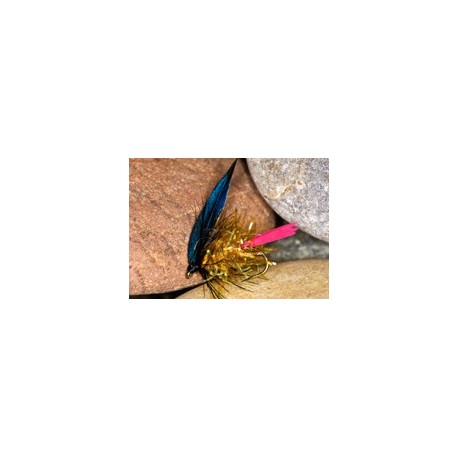 Glitter Bodgold Butch