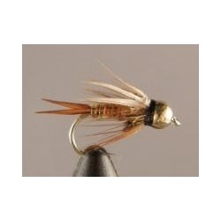 Bh Prince Nymp Hotwire