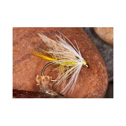 Invicta White Hackled