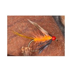 Orkney Peach Invicta