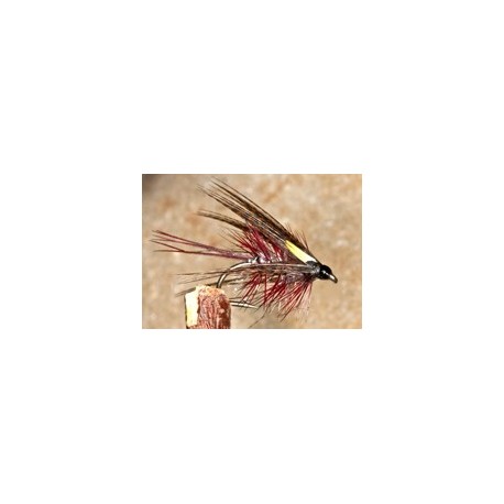 Straggle Dabbler Pearl Claret