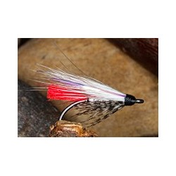 Sw Geordies Assassin