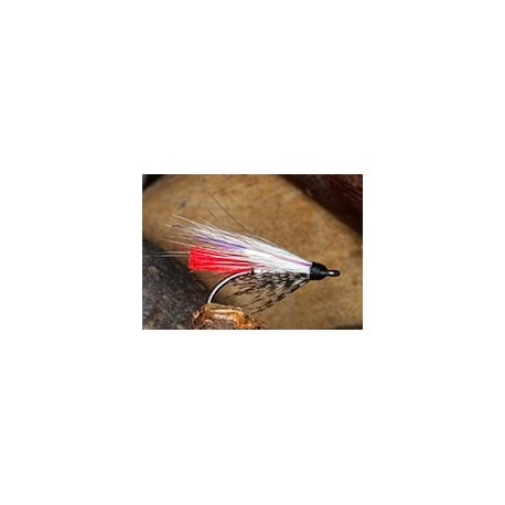 Sw Geordies Assassin