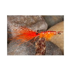 Sw Shrimp Orange