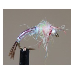 Bh Rainbow Warrior (Pearl)