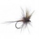 Sf Large Chamois Mayfly Bl