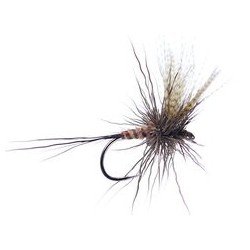 Sf Large Chamois Mayfly Bl