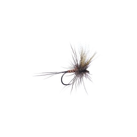 Sf Large Chamois Mayfly Bl
