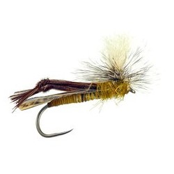 Sf Peccary Hopper Yellow Bl