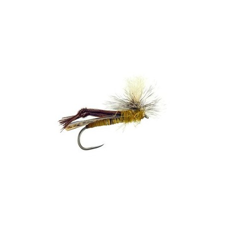 Sf Peccary Hopper Yellow Bl