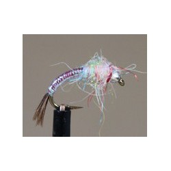 Bh Rainbow Warrior Pearl