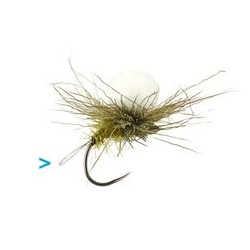 Sf Xfloating Transporter Loop Para Olive