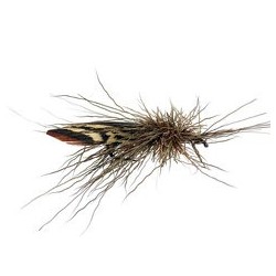 Sf Xlarge Chamois Sedge Bl