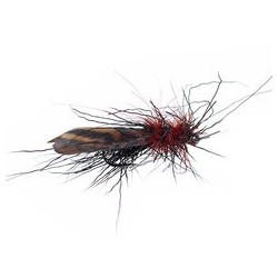 Sf Xlarge Chamois Sedge Black Rusty Bl