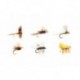 Dry Flies Selection