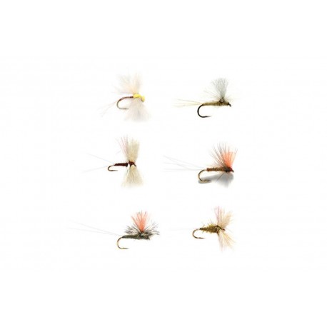 Golden Hour Selection