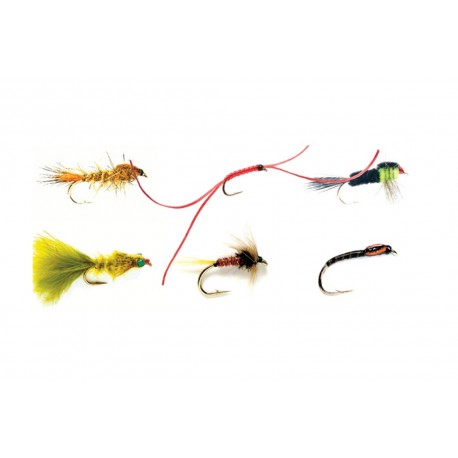 Nymphs Selection