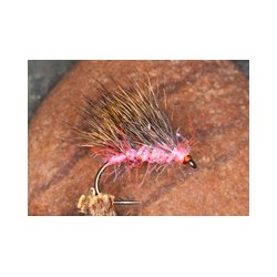 Uv Coral Stragglehog