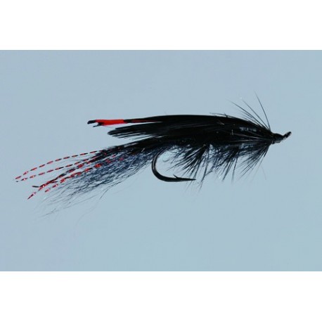 Black General Practitioner