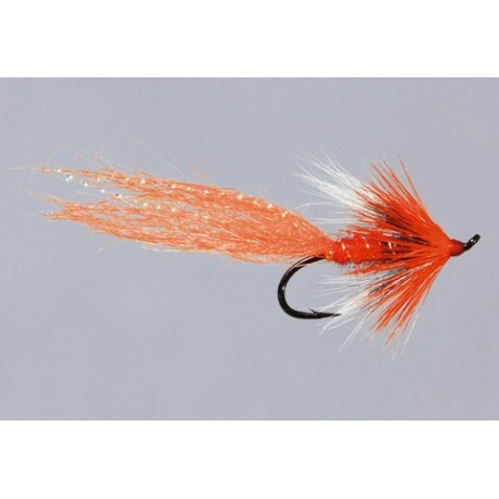 Classic Salmon Cf Allys Shrimp