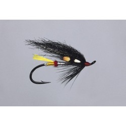 Classic Salmon Cf Garry Dog