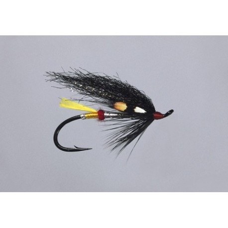 Classic Salmon Cf Garry Dog