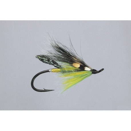 Classic Salmon Rogers Fancy