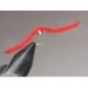 Bh San Juan Worm Red