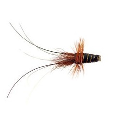 Mw Francis Blacktubefly