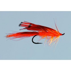 Orange General Practitioner