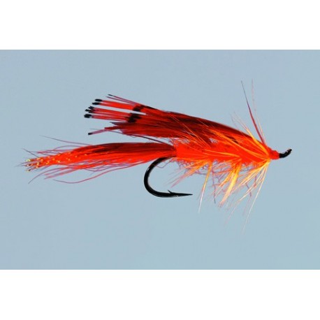 Orange General Practitioner