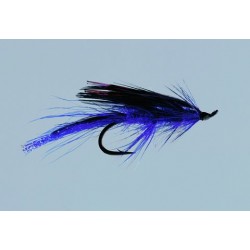 Purple General Practitioner